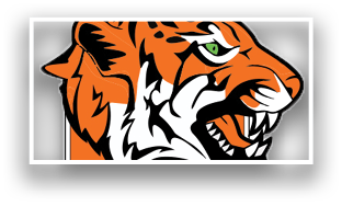 A tiger's head with green eyes and a mouth open. Contenido generado con IA
