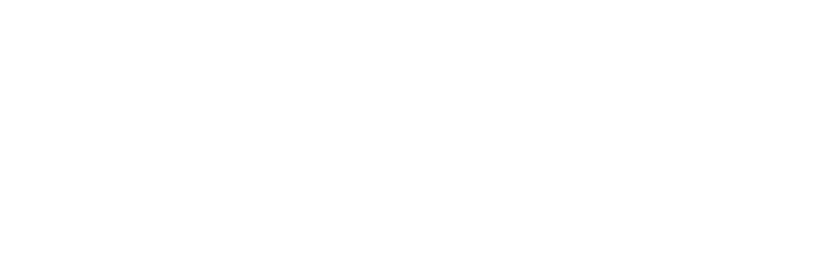 Lisa Sadosky President Susana Marks VP Amy Owen Secretary Scot Antosca Treasurer Elisabeth Au Yeung Communications Ca...