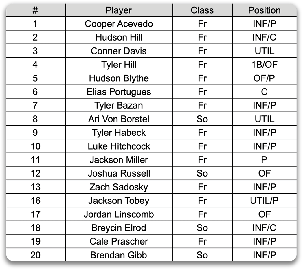 A list of baseball players, including Tyler Hill, is displayed in a table. Contenido generado con IA