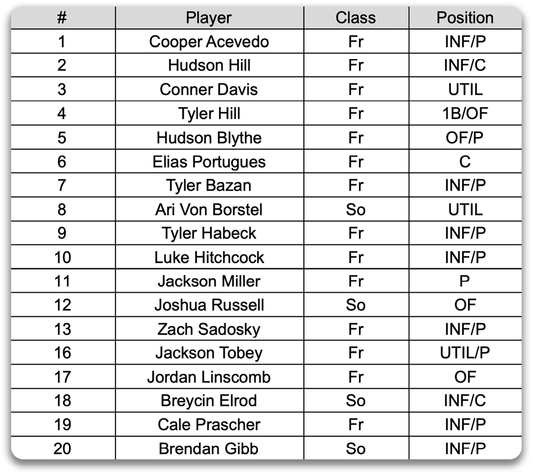 A list of baseball players, including Tyler Hill, is displayed in a table. Contenido generado con IA