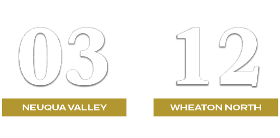 12,03,WHEATON NORTH,NEUQUA VALLEY