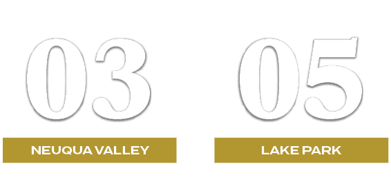05,03,lake park,NEUQUA VALLEY