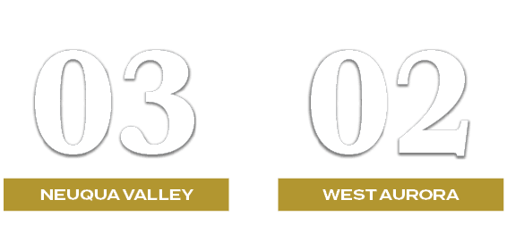 02,03,west aurora,NEUQUA VALLEY