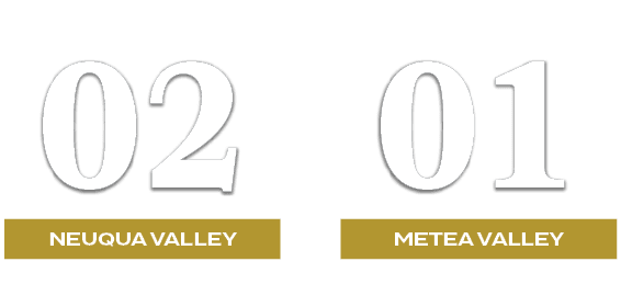 01,02,METEA VALLEY,NEUQUA VALLEY