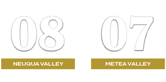 07,08,METEA VALLEY,NEUQUA VALLEY