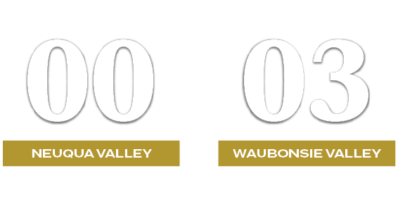 03,00,WAUBONSIE VALLEY,NEUQUA VALLEY