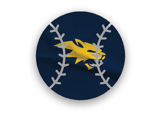 A yellow and blue baseball glove. Description generated by AI