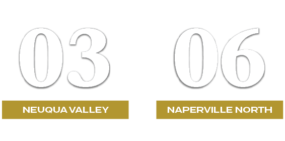 06,03,NAPERVILLE NORTH,NEUQUA VALLEY