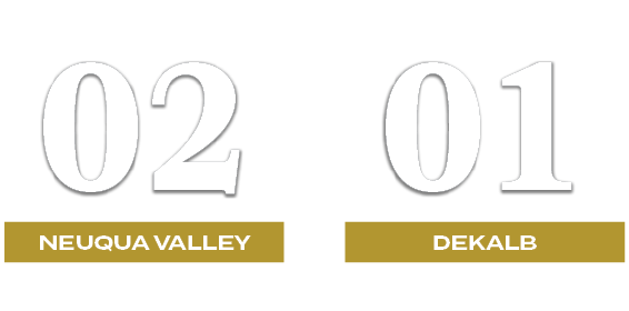 01,02,dekalb,NEUQUA VALLEY