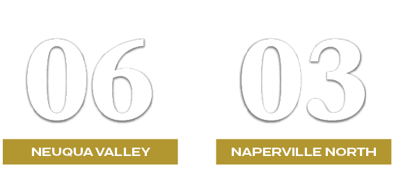 03,06,NAPERVILLE NORTH,NEUQUA VALLEY