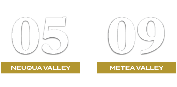 09,05,METEA VALLEY,NEUQUA VALLEY