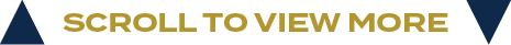 scroll to view mor