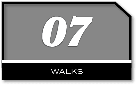07,walk