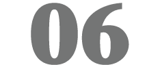 06
