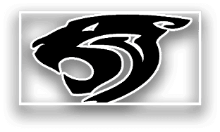 A black and white image of a paw with a white circle in the middle. AI generated content