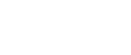 81