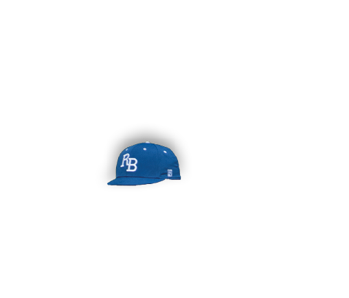 A blue and white baseball cap. Description generated by AI