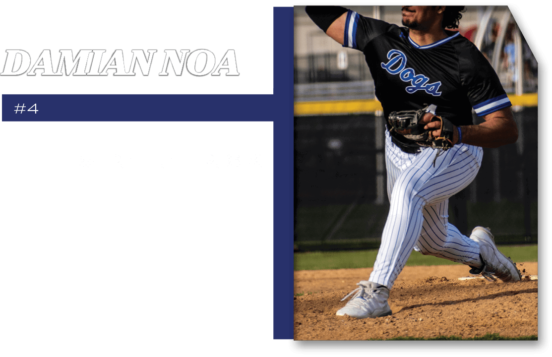 #4,5 IP, 1 H, 1 ER, 6 K,Damian No