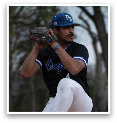 A baseball player is pitching a ball. Description generated by AI