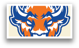 A buffalo head with orange and blue colors. Description generated by AI