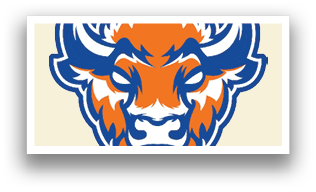 A buffalo head with orange and blue colors. Description generated by AI