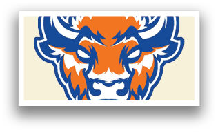 A buffalo head with orange and blue colors. Description generated by AI