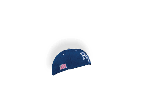A blue and white baseball cap. Description generated by AI