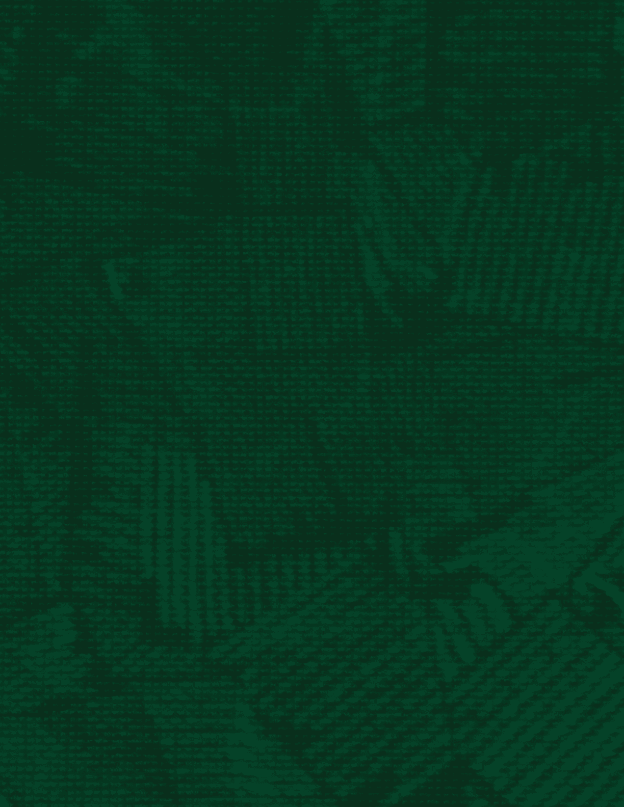 A green and black image of a field with a lot of detail. AI generated content