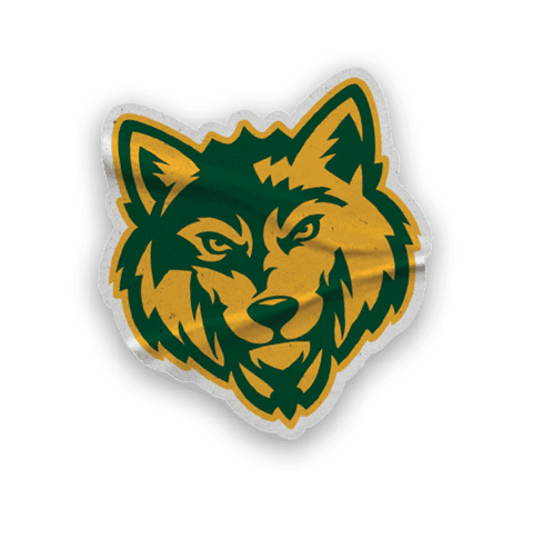 [Alt text was not generated.]