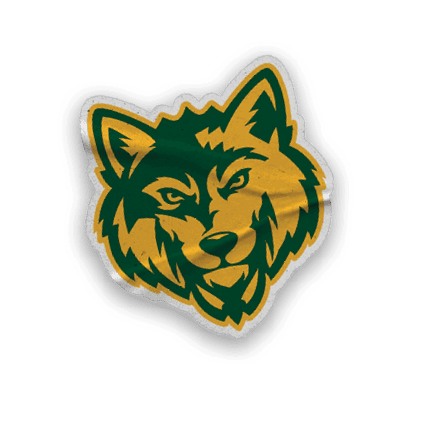 A collection of sports and university logos, including a baseball glove, a wolf, and a California state map. AI generated content