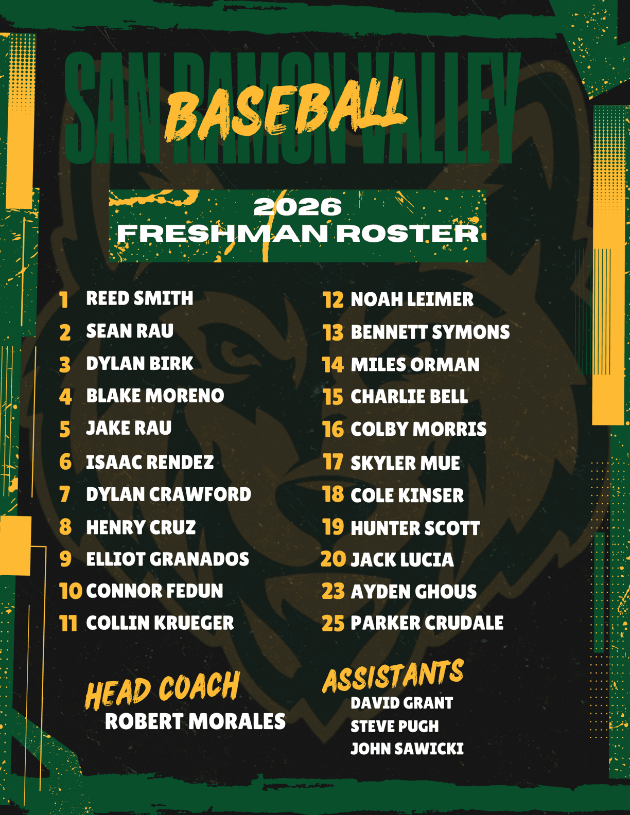 A poster for San Ramon Valley High School baseball team with a list of players and their positions. AI generated content