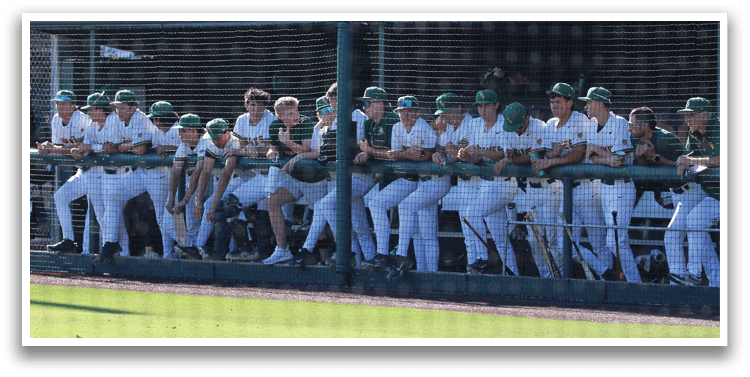 Baseball players sitting on benches on a field. AI generated content