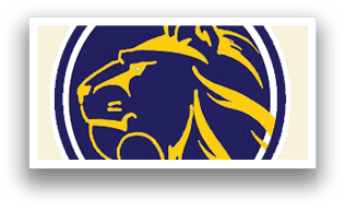 A blue and yellow lion head logo. AI generated content
