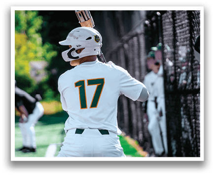 A baseball player with the number 17 on his back. Description generated by AI