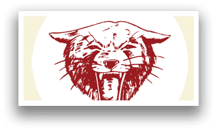 A black and red cat with its mouth open. Description generated by AI