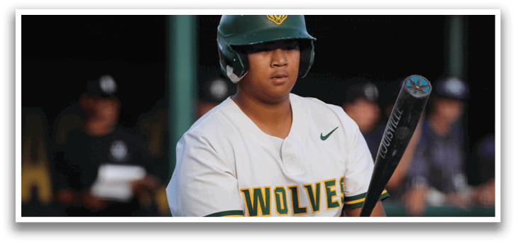 A baseball player wearing a green helmet and a white jersey with the word wolves on it. Description generated by AI