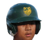 A baseball player wearing a green helmet and a white jersey with the word wolves on it. Description generated by AI