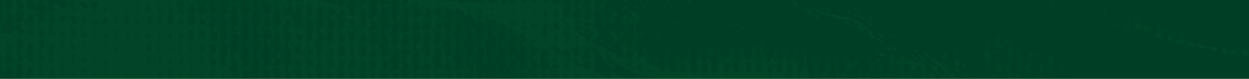 A green cloth with a wrinkled texture. AI generated content