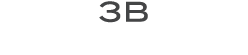 3b
