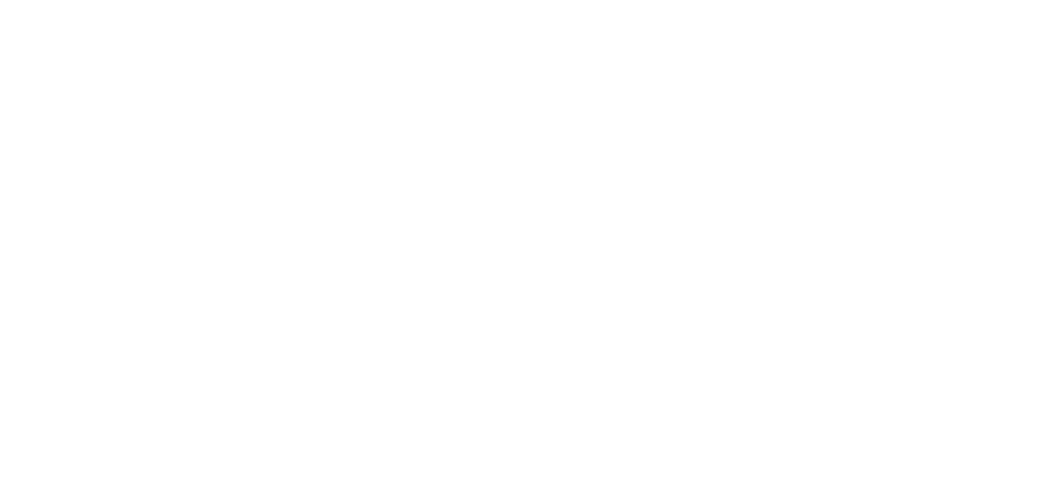 MEGAN ZANATTI, DIANA DOHERTY, & DAVID ROSENBERG PHOTOGRAPHERS, VIDEOGRAPHERS, INTERVIEWERS