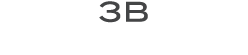 3b