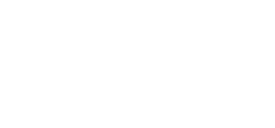MEGAN ZANATTI, DIANA DOHERTY, & DAVID ROSENBERG PHOTOGRAPHERS, VIDEOGRAPHERS, INTERVIEWERS