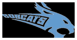 A blue cat logo with the word “BOBCATS" written in white. Description generated by AI