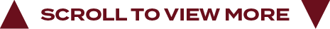 scroll to view mor