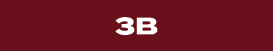 3B