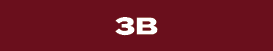 3B