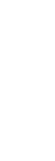 VPM