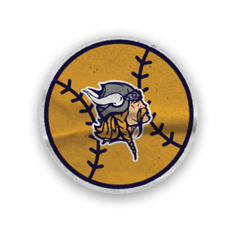 A collection of Vikings merchandise, including a helmet, glove, and other items. AI generated content
