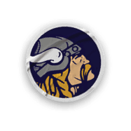 A collection of logos and images for the Minnesota Vikings football team. AI generated content