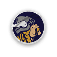 A collection of logos and images for the Minnesota Vikings football team. AI generated content